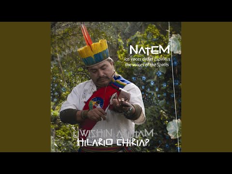Natem (Ayahuasca)