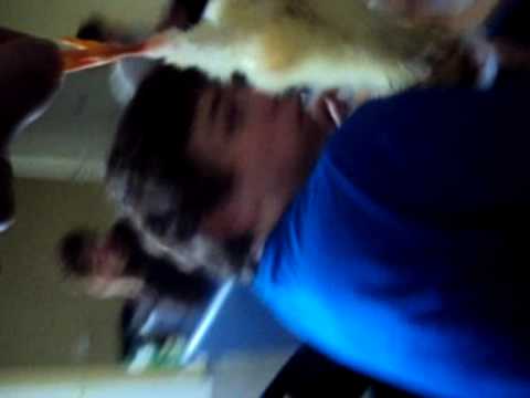 donitas heren 6 kuikenpret