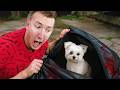 I Found A Lost Puppy In A Body Bag