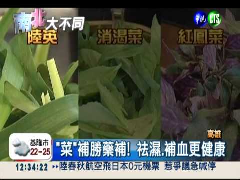 尚青"野菜鍋" 解毒祛濕勝藥補