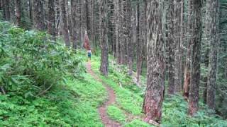Boulder Ridge Trail lower end. Video by Ryan Krol.