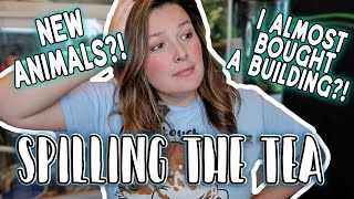 New Reptiles, Reptile Room Renovation, and More! // Reptile Mom Vlog