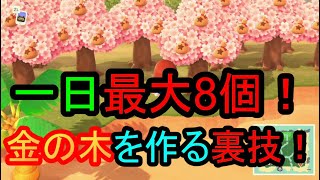 あつまれどうぶつの森　一日最大8個！！金の木を作る裏技！！！