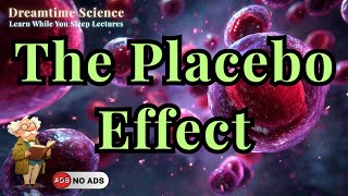 How Belief Transforms the Body