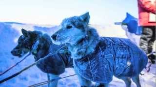 Alaska Dispatch Television Commercial