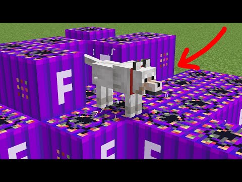 superdog vs wither storm formidi bomb - wither storm mod - will super dog survive?
