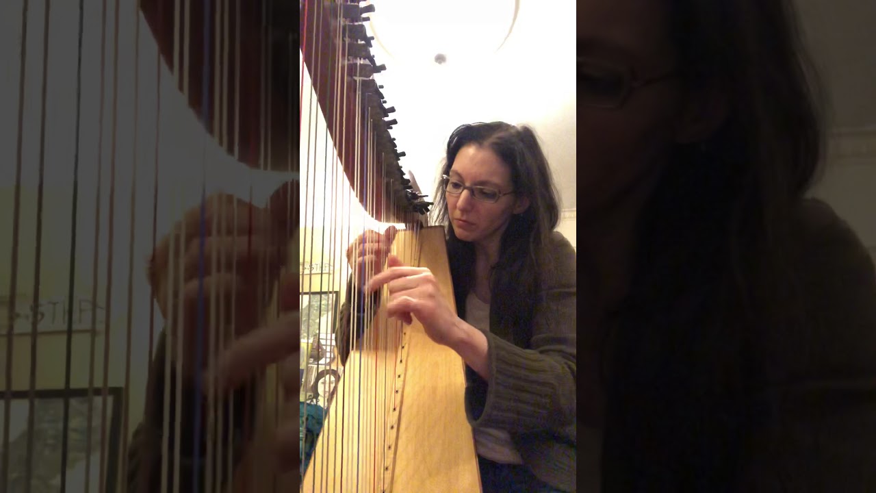 Promotional video thumbnail 5 for Morningside Music, Harpist Sohayla Smith