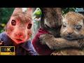 Peter Rabbit Vs Mr McGregor Peter Rabbit