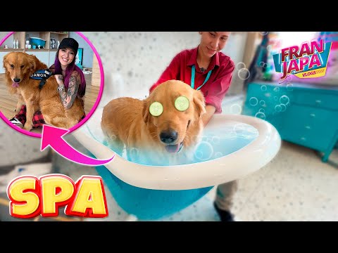 BANHO DE BANHEIRA PARA MEUS CACHORROS- Fran Japa