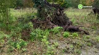 von Lucka nach Neukieritzsch 27 September 2021