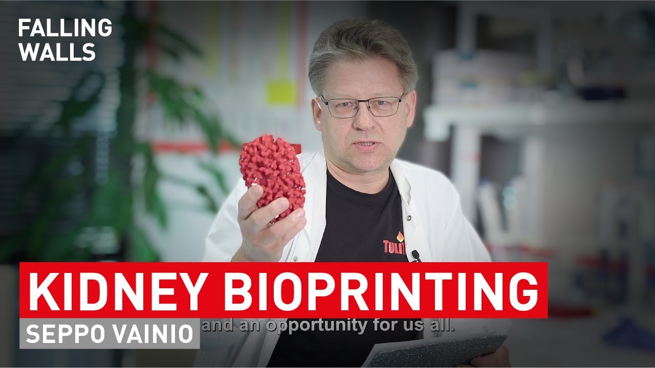 Breaking the Wall to Kidney Bioprinting