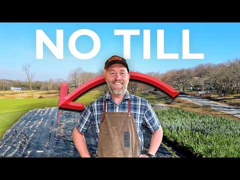 Our No Till Gardening Hack: Holding Down Silage Tarps to Kill Weeds Naturally