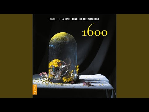 Il scolaro per imparare a suonare di violino: I. Intrada e balletto del marchese di caravazzo...