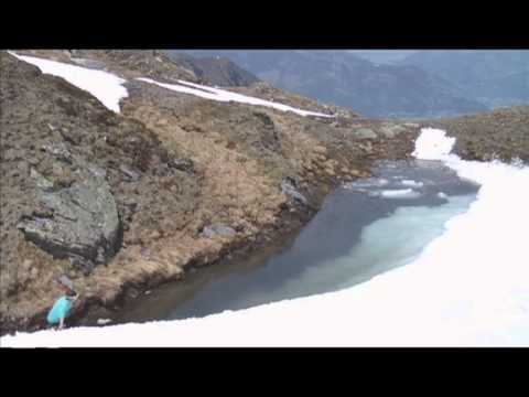 Friends - ZOIO the Blue Tomato Team Movie 2010/11