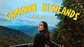 Travel vlog - Cameron Highlands, Malaysia TRAVEL GUIDE, BEST Things To Do & Places To Eat 2025