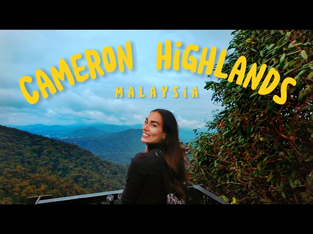 Travel vlog - Cameron Highlands, Malaysia TRAVEL GUIDE, BEST Things To Do & Places To Eat 2025