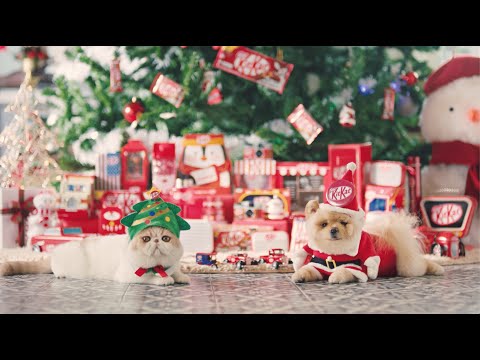 KitKat Wish You A Merry Christmas (Official Music Video จาก #KitKat )