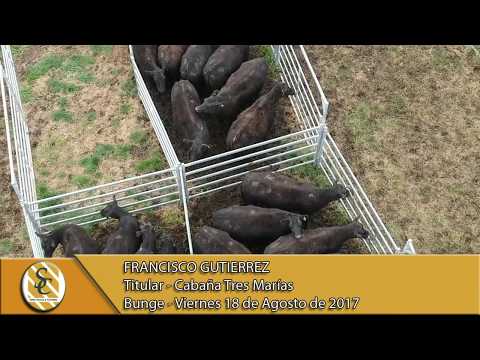 18-08-17 Nota Francisco Gutierrez - Cabaña Tres Marias - Bunge.