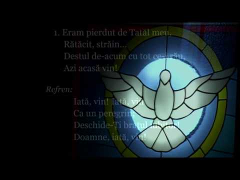 Costică Ludușan - Ai tu idoli moderni? (26.11.2016)