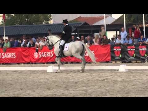 Embaixador da Broa, Feira do Cavalo, Golegã 2015