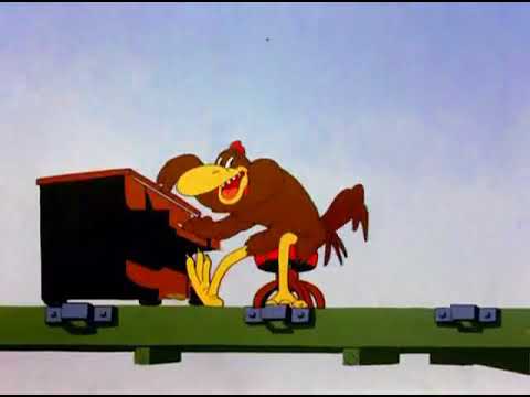 funny roosters singing