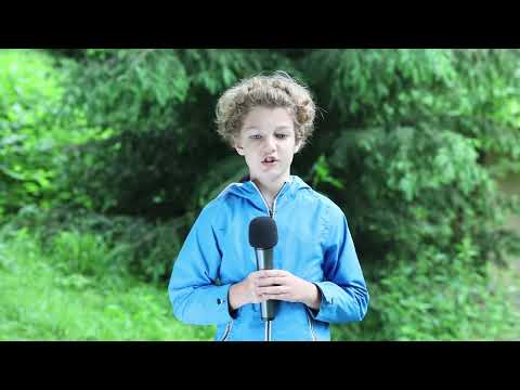 Vremea LIVE din Tabăra TV - Gabriel Dumitru