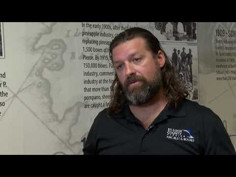 Magicseaweed Fort Pierce