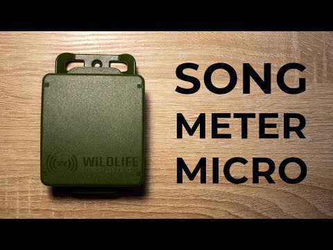 Vogelstimmen automatisiert aufnehmen: Song Meter Micro - Testbericht