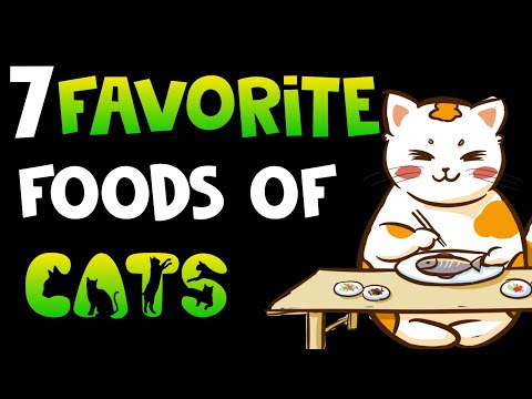 7 favourite foods of cats | Human's food ,cats loves to eat