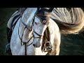 Counting Stars § Equestrian Music Video