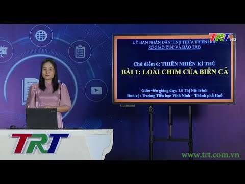 Tiếng Việt lớp 1 (KNTTVCS)- Bài 1: Loài chim của biển cả (Tiết 1) - HueTV