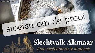 Weer een prooi - duwen en trekken nu!