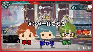 【新年】Apexのひととき【Apex legends】