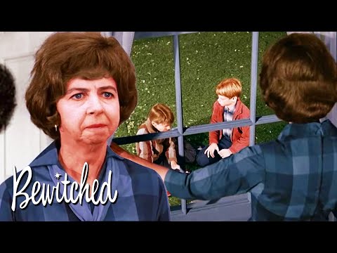 Mrs Kravitz Wants An Explanation | Bewitched