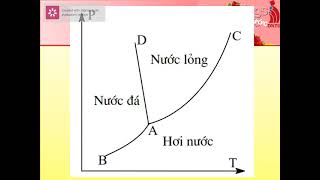 HÓA SINH THỰC PHẨM_ CHƯƠNG: NƯỚC