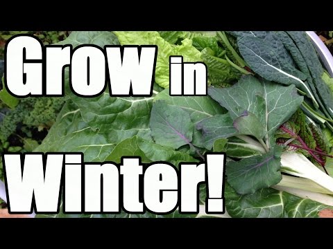 , title : '8 Keys to Growing in Winter in an Unheated Greenhouse (Hoop House)