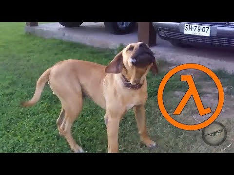 Dog barking but it's a houndeye HL SFX 【﻿ＱＵＡＬＩＴＹ　ＣＯＮＴＥＮＴ】