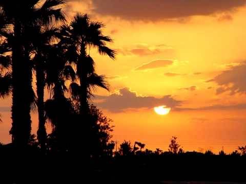 cornandbeans - Sunlight