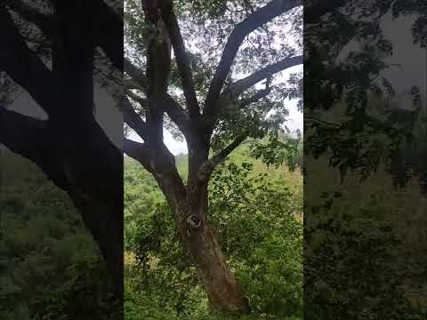 The beauty of Nature 🌿🦋