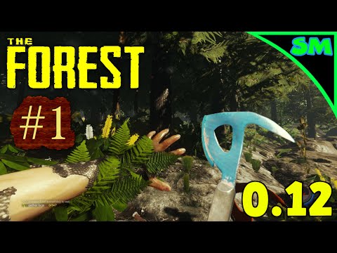 The Forest Alpha 0.12 | Part 01 | UPDATE! Stealth Armour, Paint, Rabbit Skin Berry Pouch | Ep 145