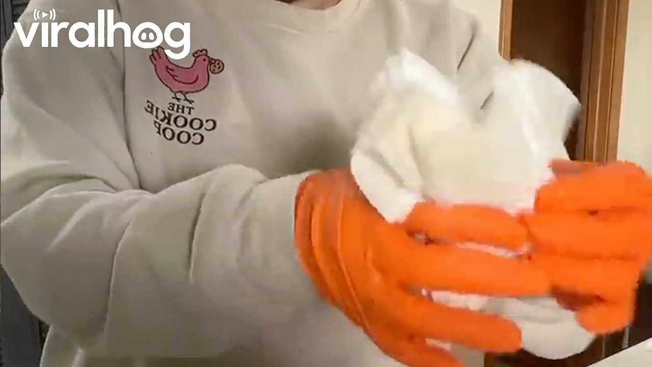 Mom Finds Something Unexpected Inside Baby Wipes Package || ViralHog