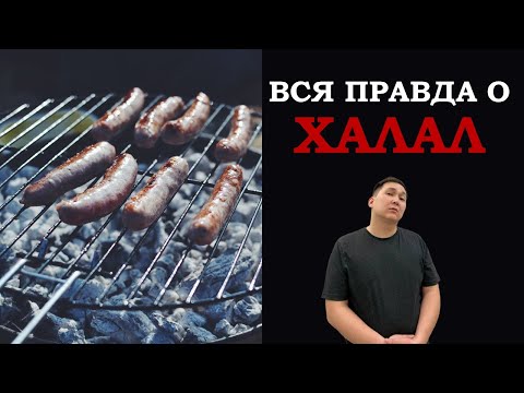 , title : 'Вся правда о Халал. Инфраструктура качества'