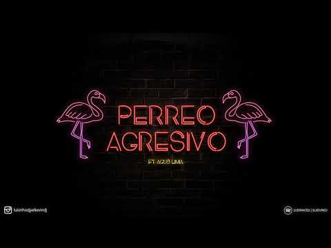 Perreo Agresivo 3 - LuisinhoDJ & ElKevinDJ Ft. DJ Agus Lima