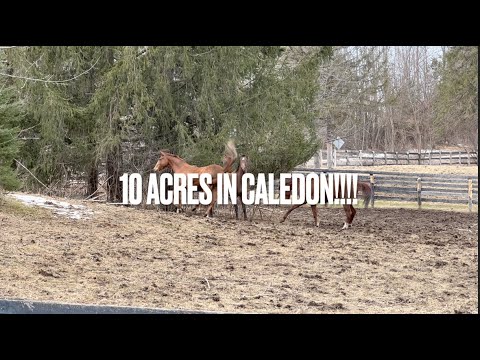 10 ACRES IN CALEDON  - TRAILER
