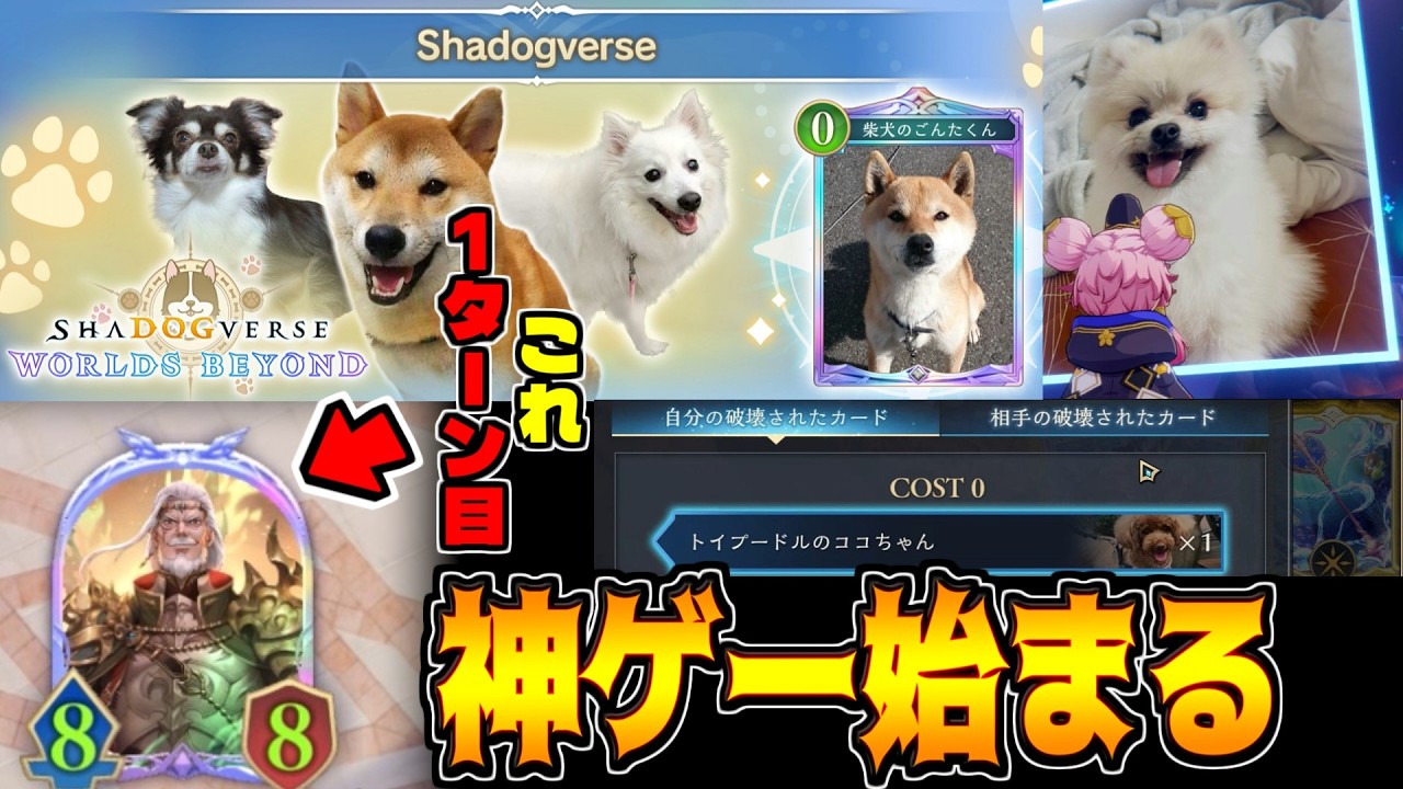 1日だけヤケクソルールになったシャドッグバースが神ゲーな件について【シャドバWB】