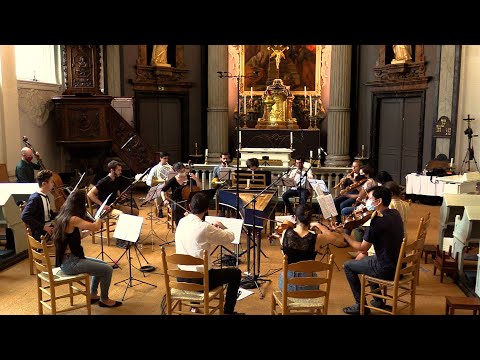 Carl Stamitz - Symphonie de chasse in D (1772) III. Allegro moderato - Presto