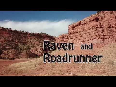 Raven and  Roadrunner...