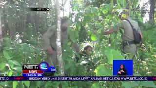 Download lagu Satpol PP Menangkap Anak Punk Jalanan - NET12 mp3