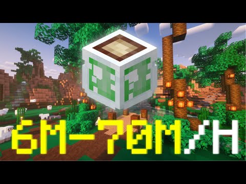 I Recommend This for Beginners!!! - Hypixel Skybock