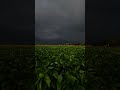 Mehfil Me Kaise Kehde Kisi Se Dil Bandh Raha Hai Kisi Ajnabi Se Rain Shortsstore Weather Whatsap